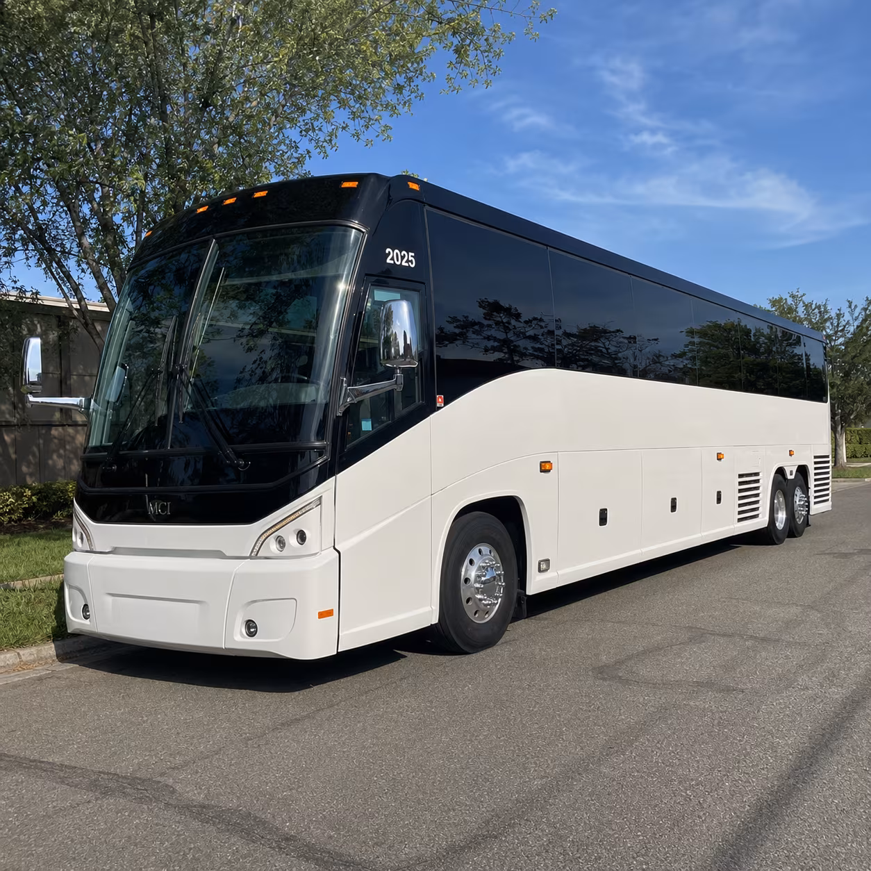 charlotte road trips panthers and hornets game day charter buses